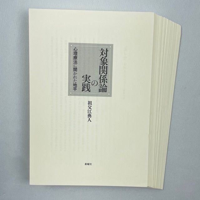 裁断済】対象関係論の実践 心理療法に開かれた地平 - メルカリ