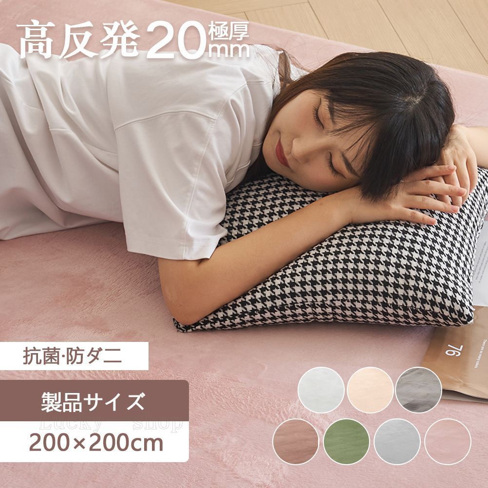 ラグ はっ水 ラグマット 極厚20mm 抗菌防臭 200×200cm カーペット 厚手 滑り止め 洗える 角型 撥水 床暖房 ホットカーペット おしゃれ 防カビ 防ダニTH307842EAA