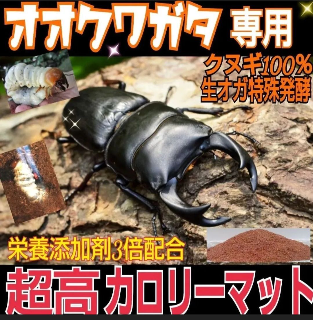 オオクワガタ専用　超高カロリーマット【40L】栄養添加剤3倍配合！生オガ特殊発酵 オオクワガタ専用☆超高カロリーマット【40リットル・4袋】生オガを
