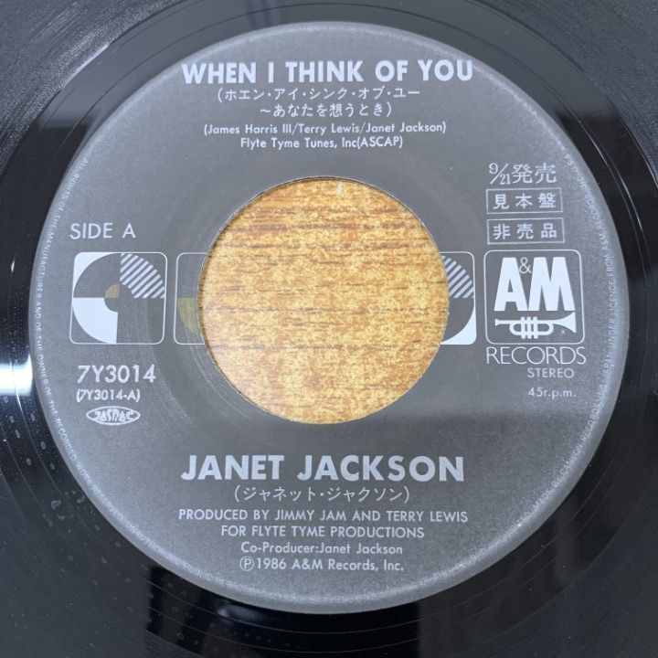 Janet Jackson12インチ レコード　9枚セット Janet Jackson12インチ レコード 9枚セット Janet Jackson12