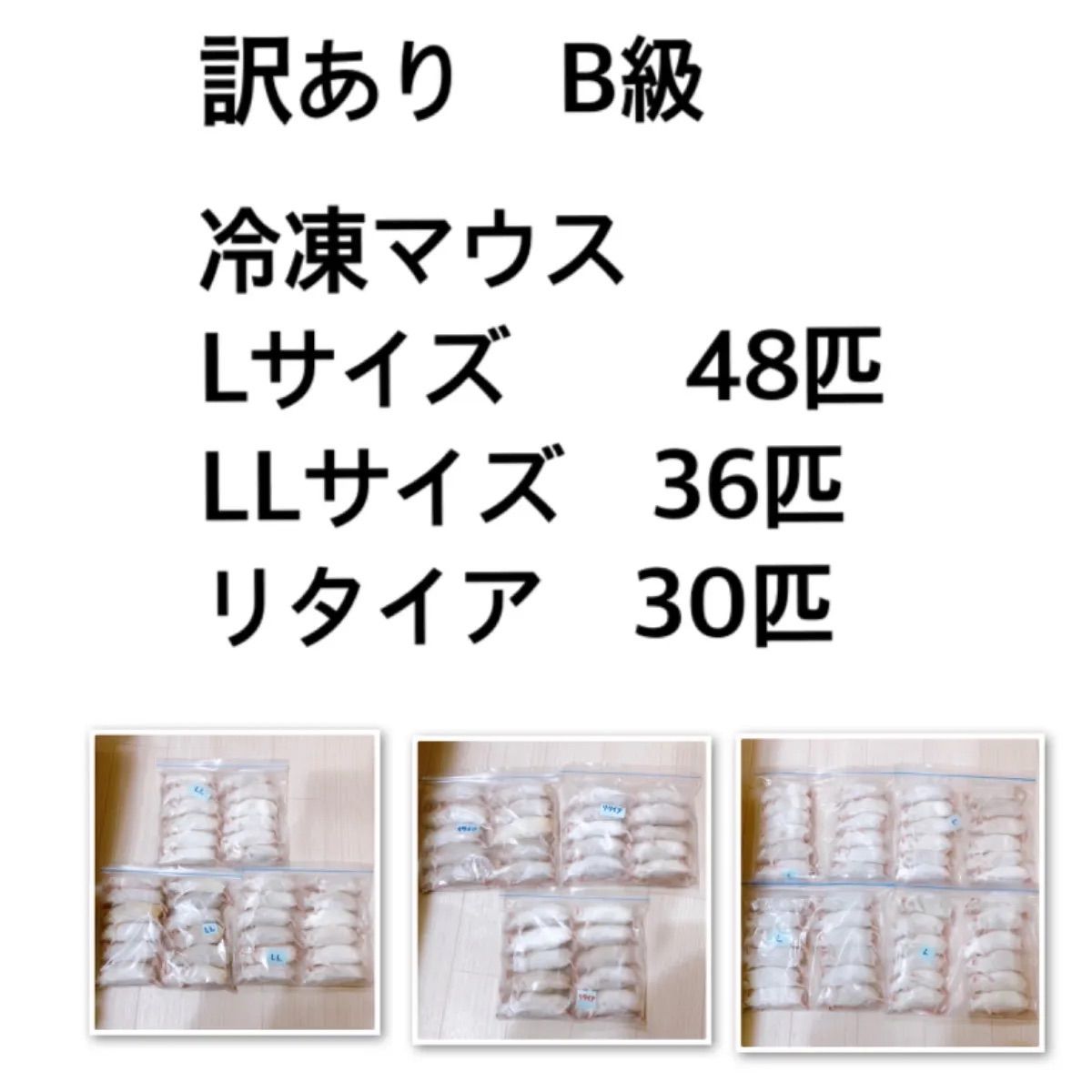 【お買得品】冷凍マウス48匹(リタイア) 爬虫類/両生類用品