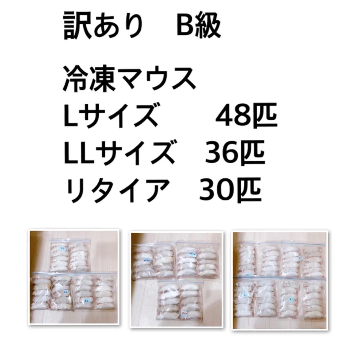 正規品大人気冷凍マウス48匹(リタイア) 爬虫類/両生類用品