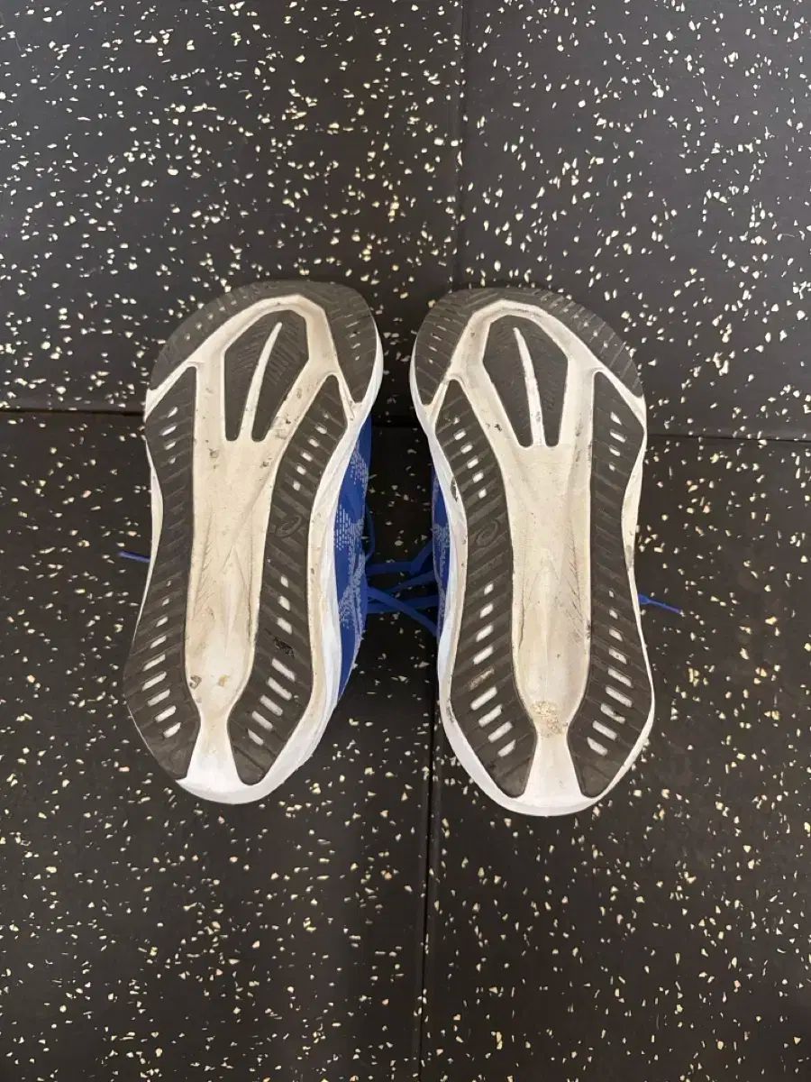 Asics アシックス ノバブラスト 5 ワイド 2E 270mm