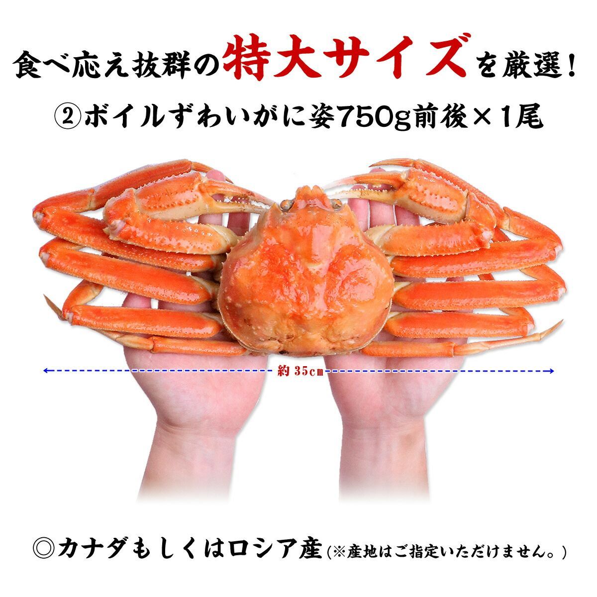 ズワイガニ姿(1尾 750g)