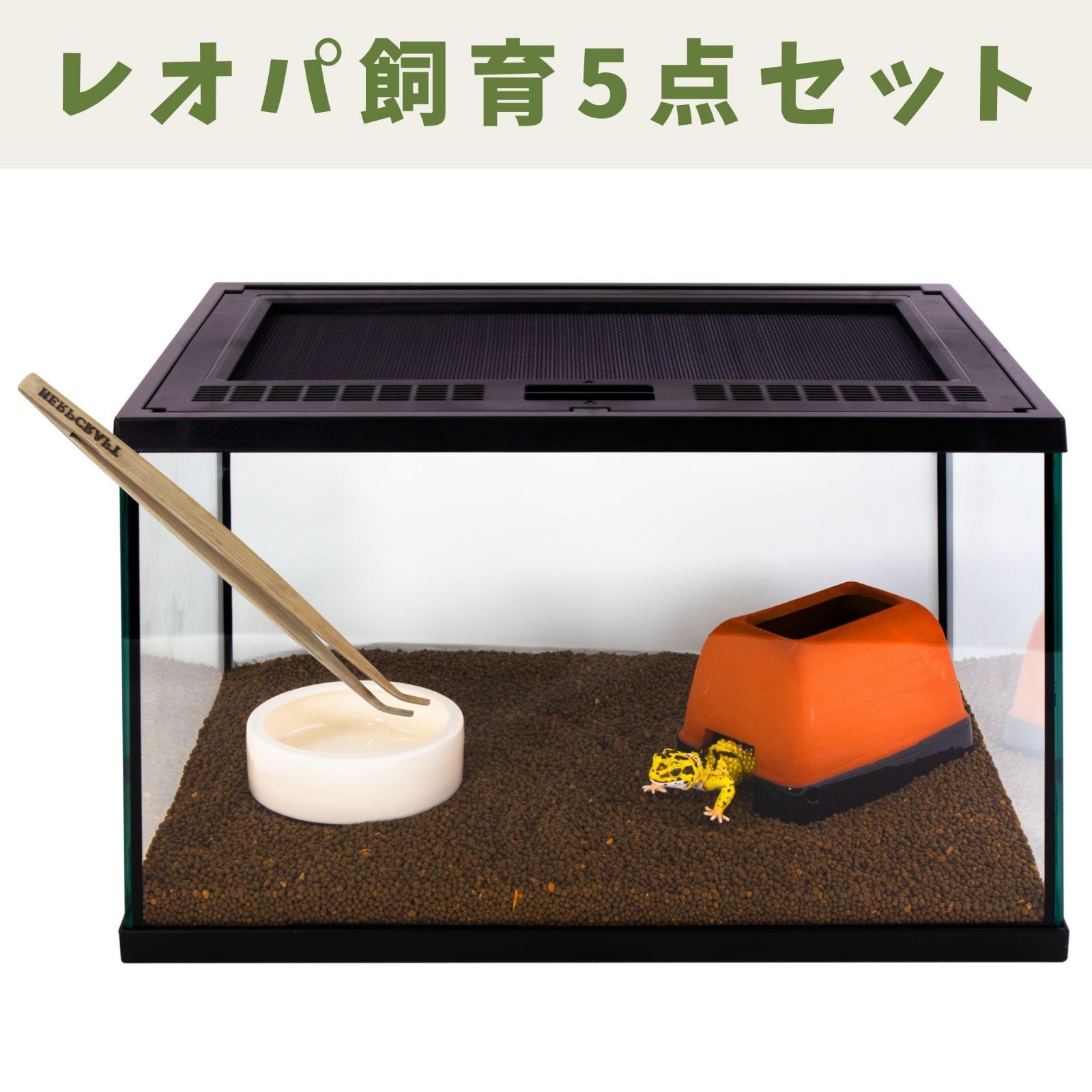 スドー レオパ 5点 飼育セット キット 爬虫類用ガラスケージ