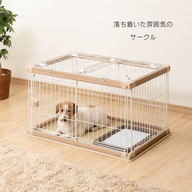 木目 掃除