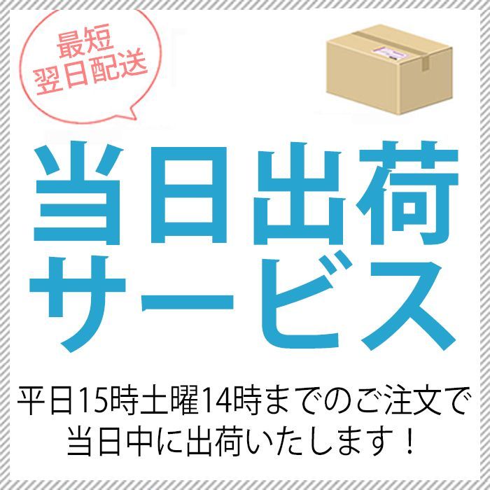 245/45R19 新品 スタッドレスタイヤ 19インチ 2022年製 ANTARES/アンタレス GRIP WP アジアンタイヤ 送料無料