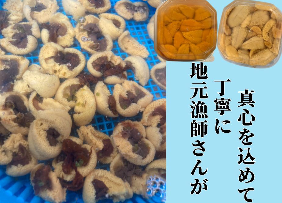 赤ウニ 100g