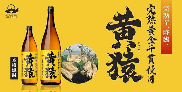 1000本イエローモンキー 黄猿 コラボ焼酎 ゴールドボトル コラボ焼酎