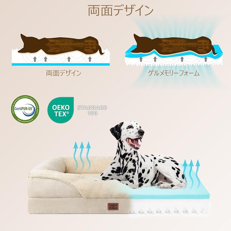 小型犬 中型犬