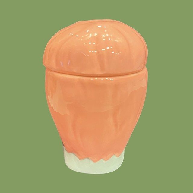 フランケンシュタイン☆フランケン☆Frankenstein☆cookiejar