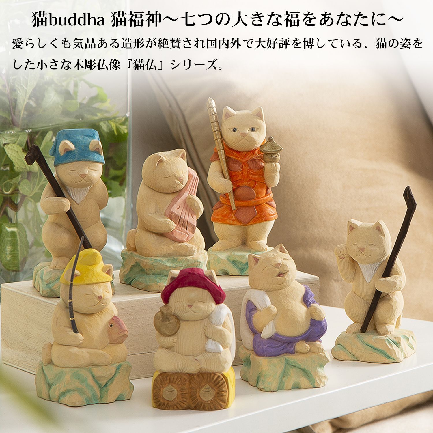 猫buddha ニャンブッダ