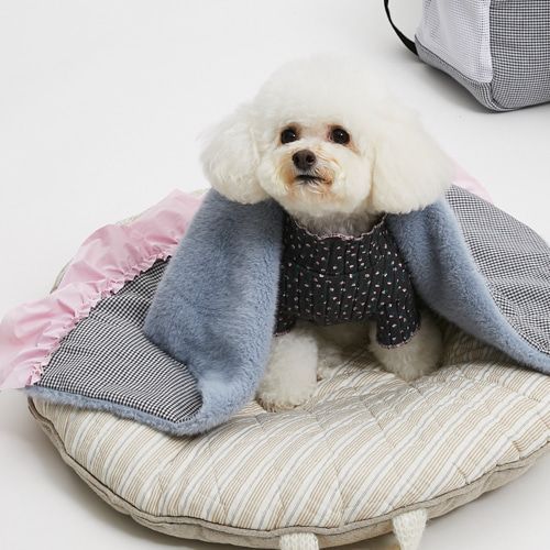 louisdog