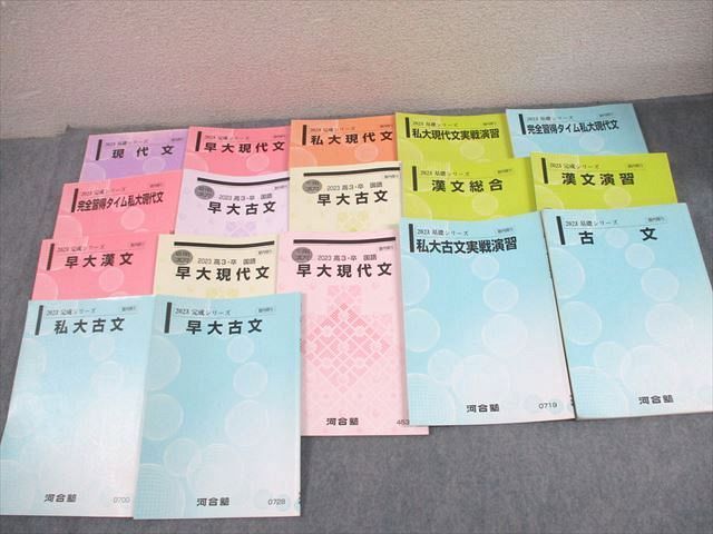 河合塾 国公立大コース 国語 現代文/漢文/古文 共通テスト実戦演習 等 テキスト通年セット 2024 計14冊 100L0D 河合塾 国公立大コース 国語 現代文/漢文/古文 共通テスト実戦