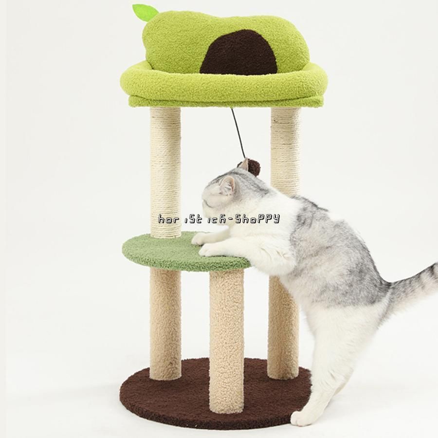 子猫