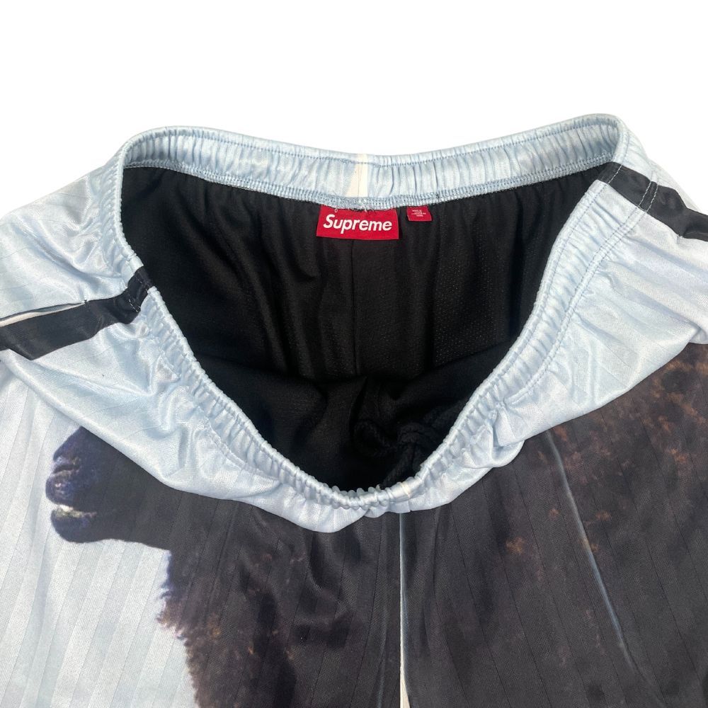 SUPREME シュプリーム 25SS Damien Hirst Soccer Short ダミアン