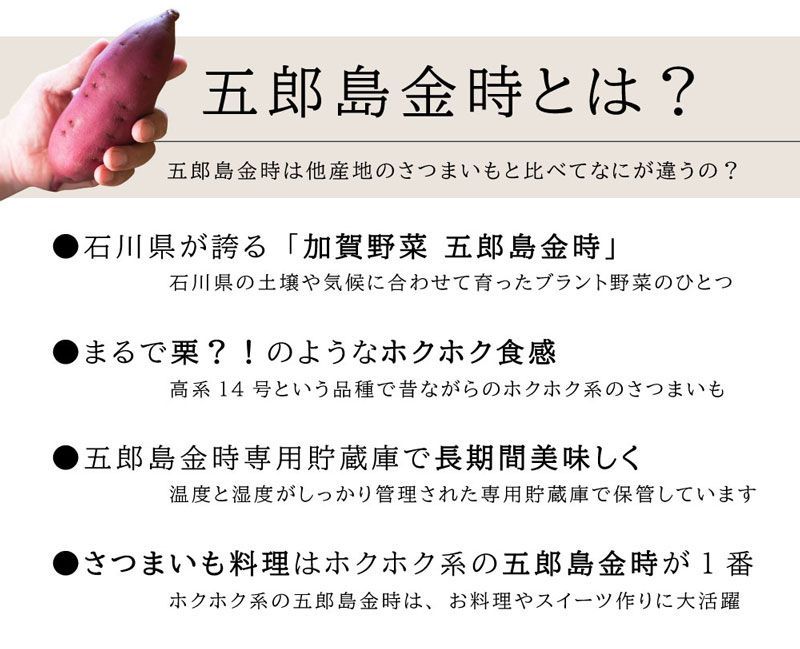 さつまいも・五郎島金時 5kg(約12～16本入り) 等級：秀 Lサイズ【加賀野菜ブランド芋・石川県産】贈答用・生芋・産地直送野菜・ギフト