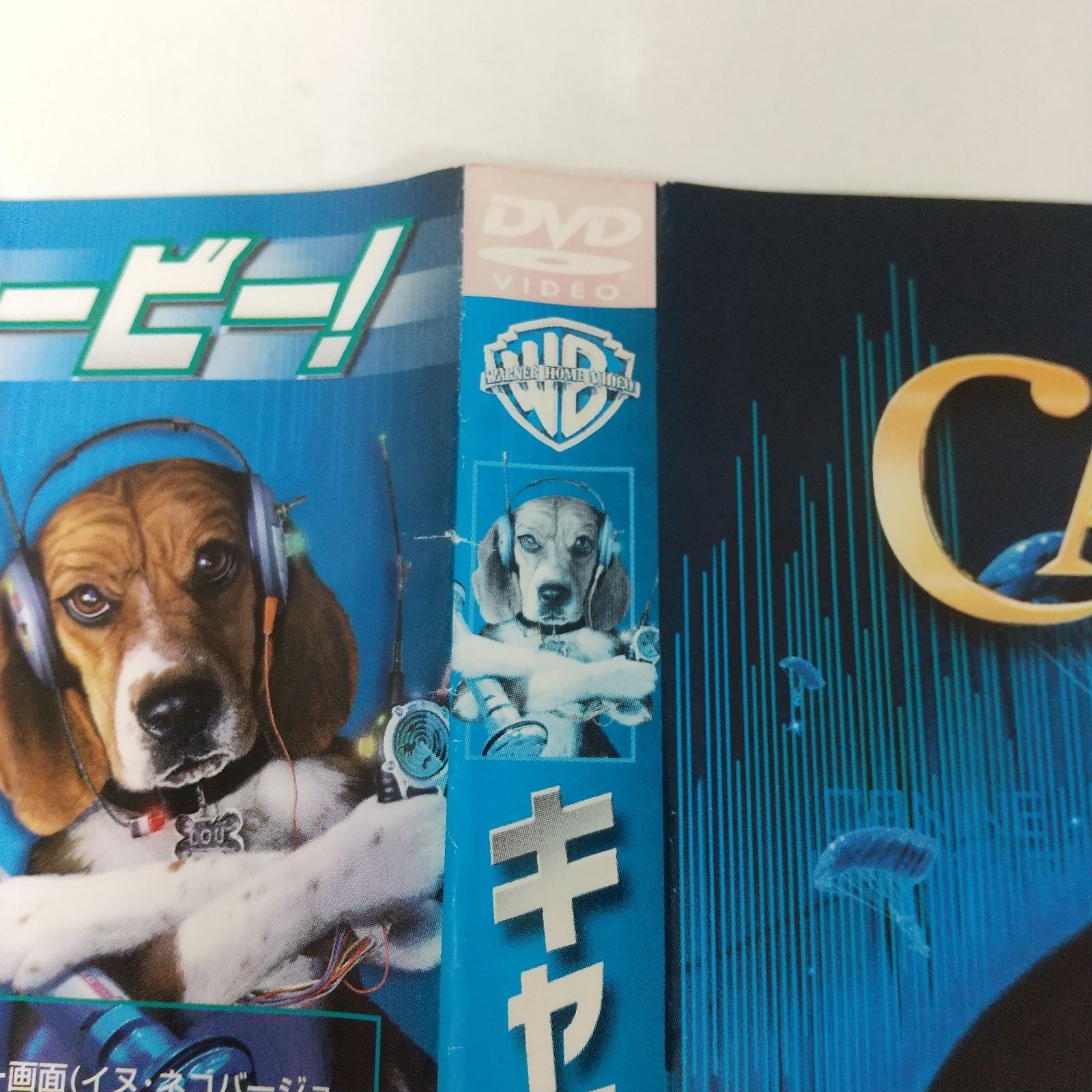 大量中古DVD(だと思う)109ケ洋物中心映画とドラマだけど不揃い 映画『逃走中 THE MOVIE』DVD STANDARD EDITION | 川西拓実,中島