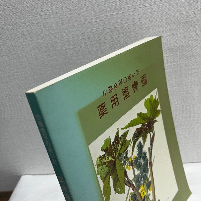 小磯良平 薬用植物図「べにばな」 口コミ サイト 商品 小磯良平 薬用植物図「べにばな」 絵画 - 絵画