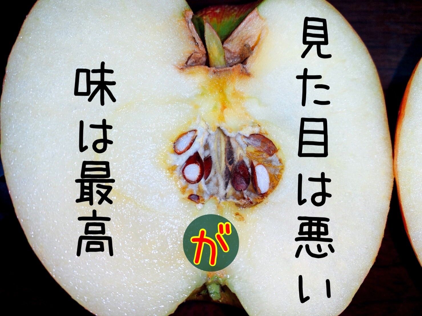 青森県産 サンふじ 超訳あり3㎏ 限定4箱