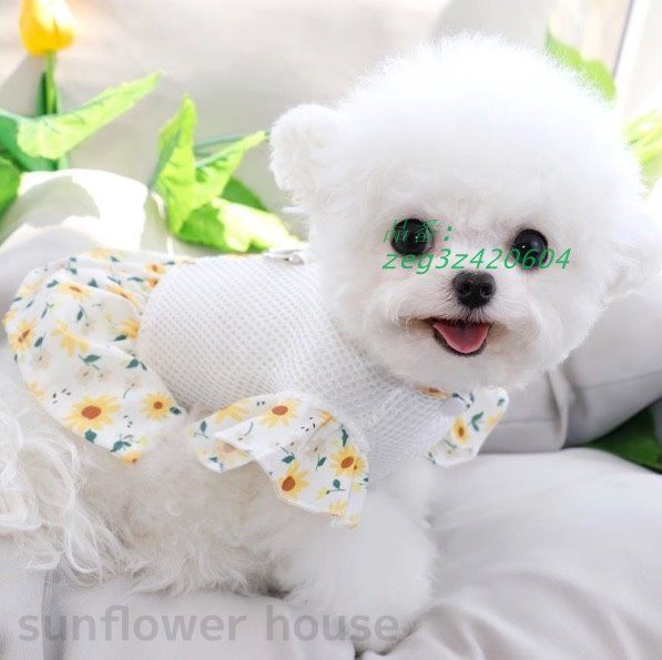 ペット服 犬服 花柄 カラフル お散歩 涼しい イベント かわいい