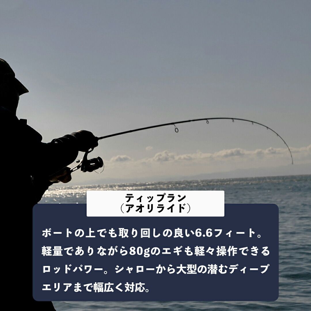 あおりねっと アオリライド エギングTRメタル66 （メタルティップ搭載