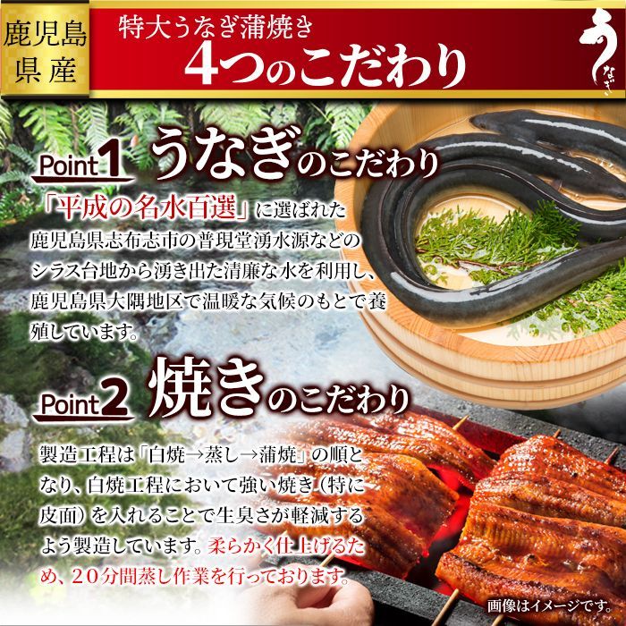 日本ギフト大賞鹿児島県賞受賞!!国産特大うなぎ蒲焼き186g×2袋 【公式