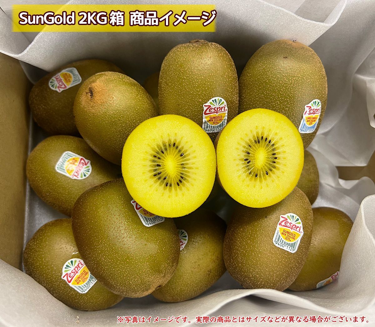 夏ギフト｜
