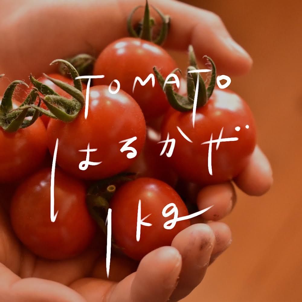 【高糖度】完熟ミニトマトはるかぜ1kg　北海道沖縄専用-1