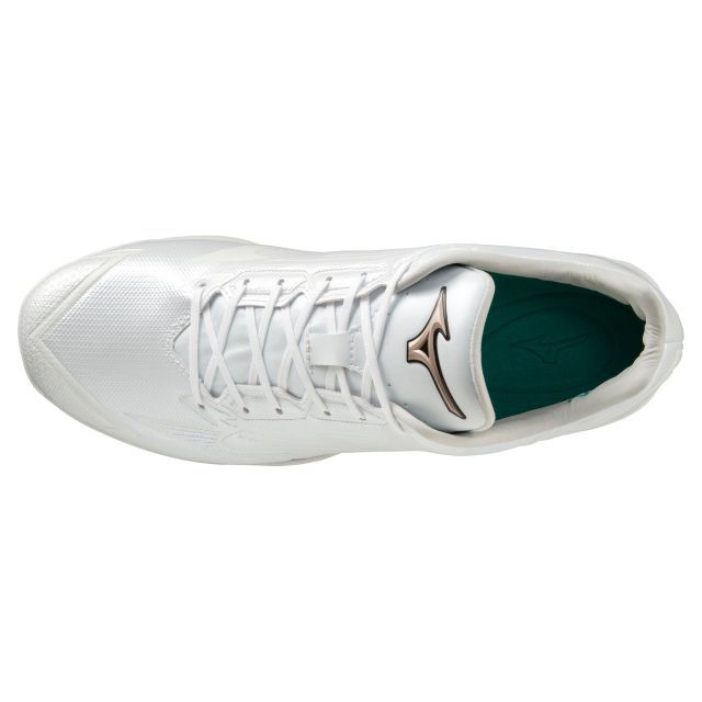 リミテッド ナイキ アクーニャJr ハラチ エリート スパイク 28cm