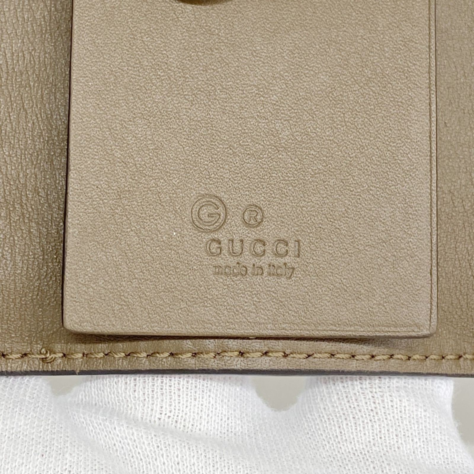 マイクログッチシマ 150402