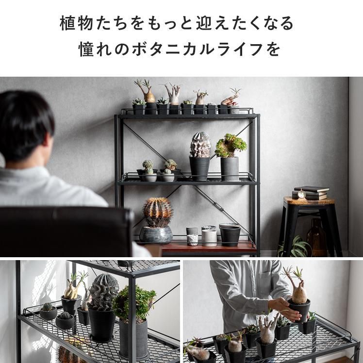 ラック