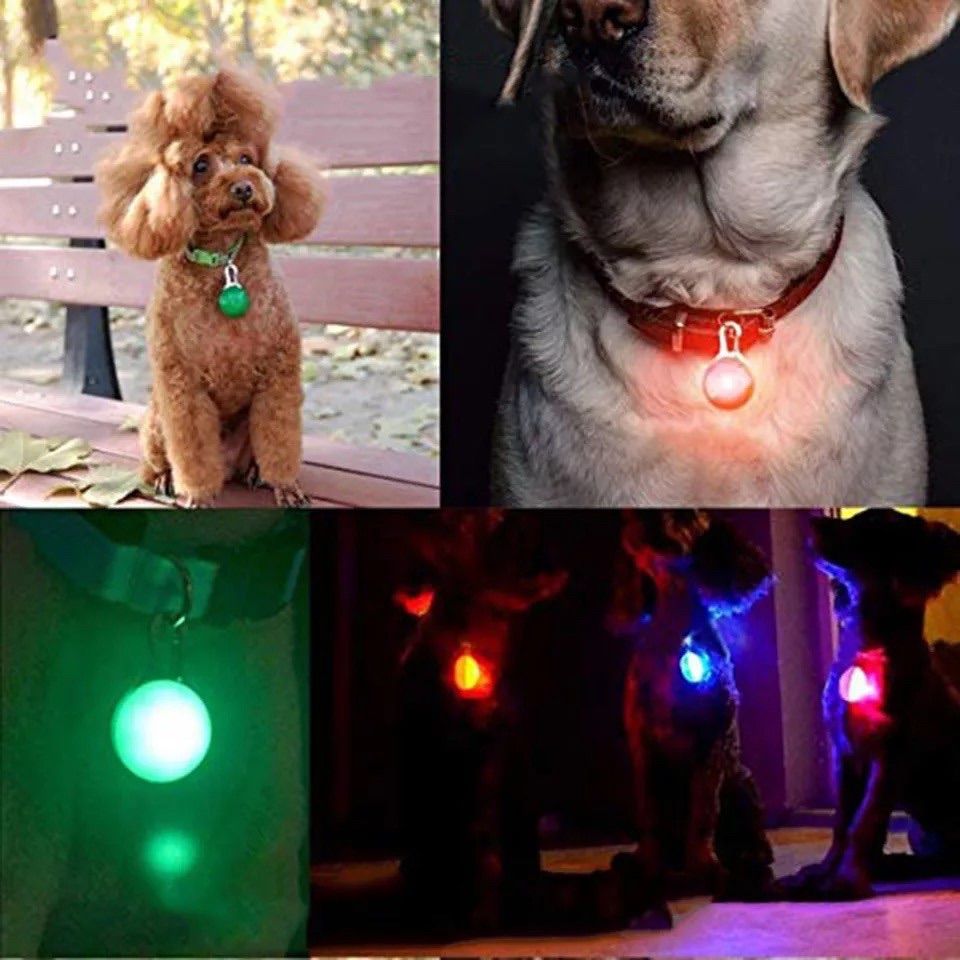 品質は非常に良い ペット LED セーフティ ライト レッド 散歩 犬 首輪 安全 リード 子ども