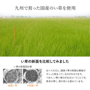 シーツ