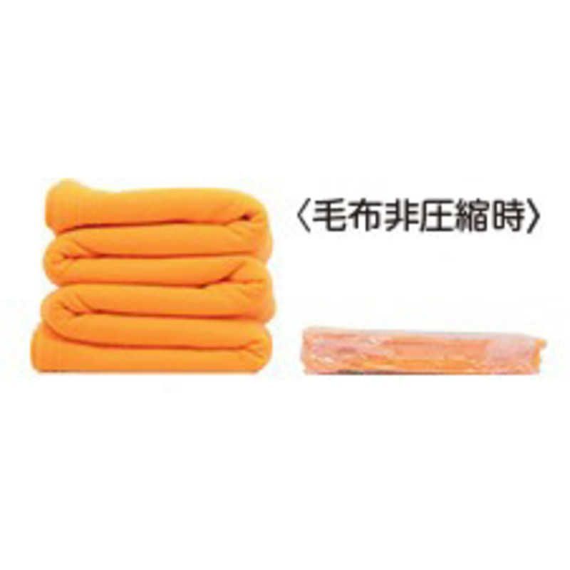 ナイトアイボーテ Ⅱ