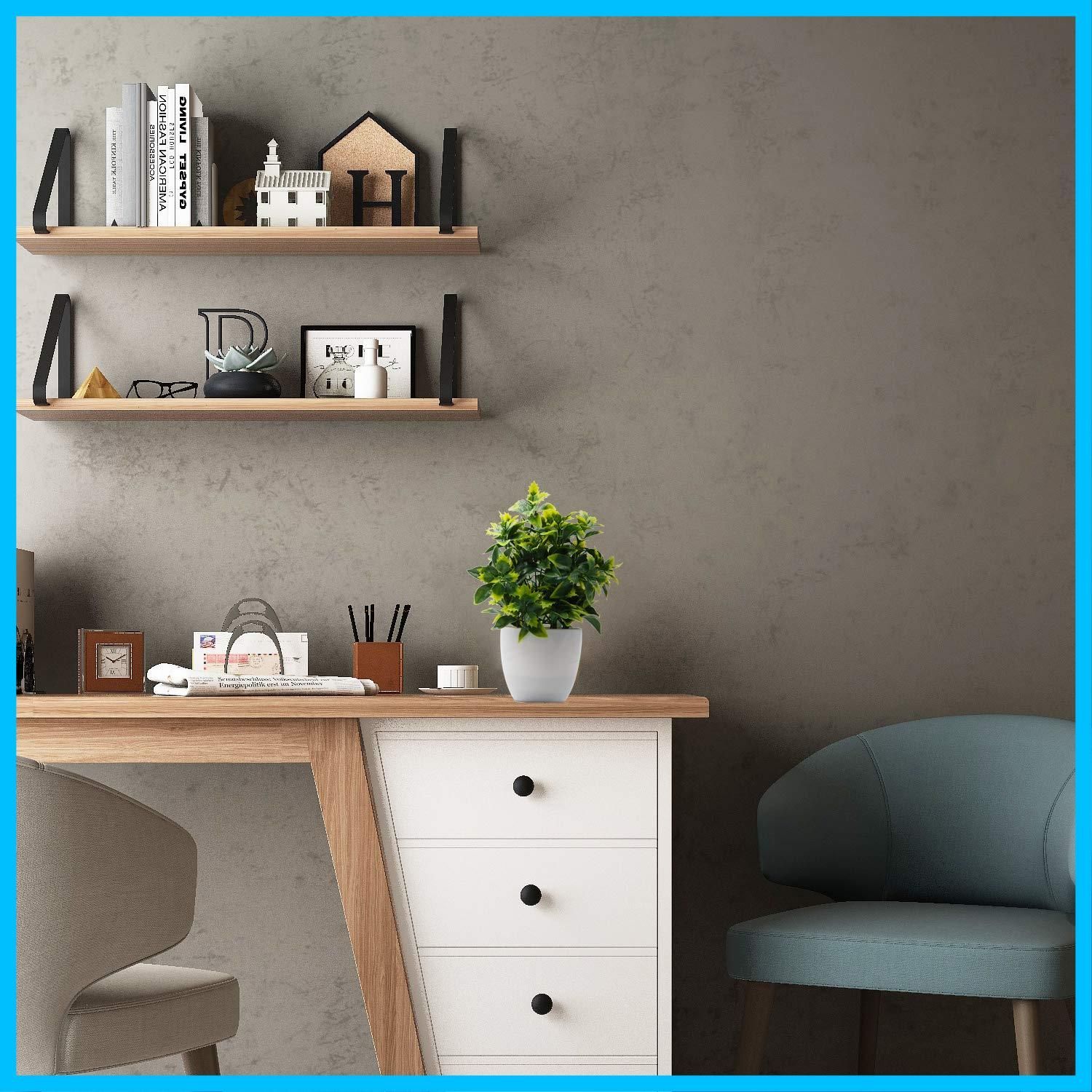 観葉植物 インテリア