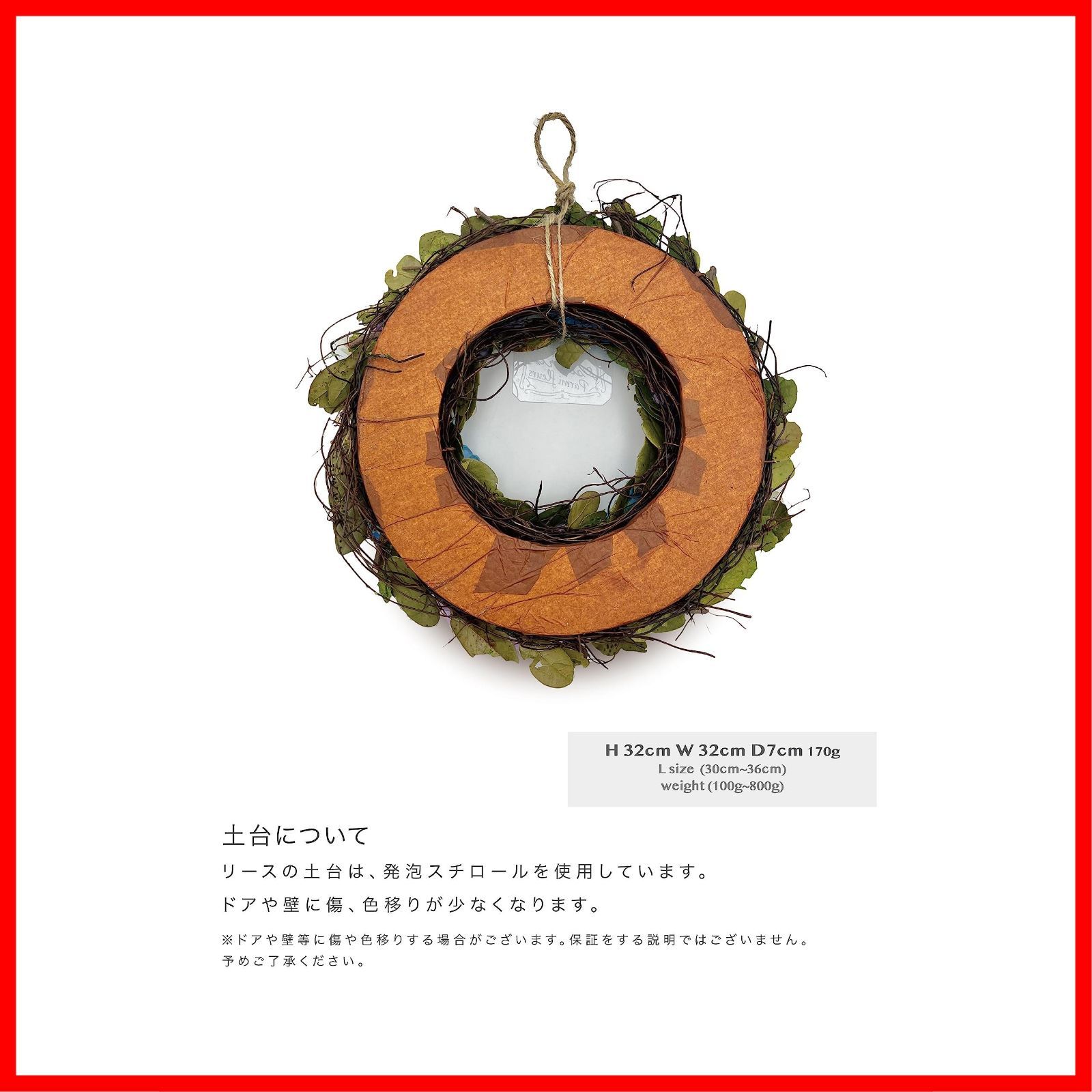 アジサイ