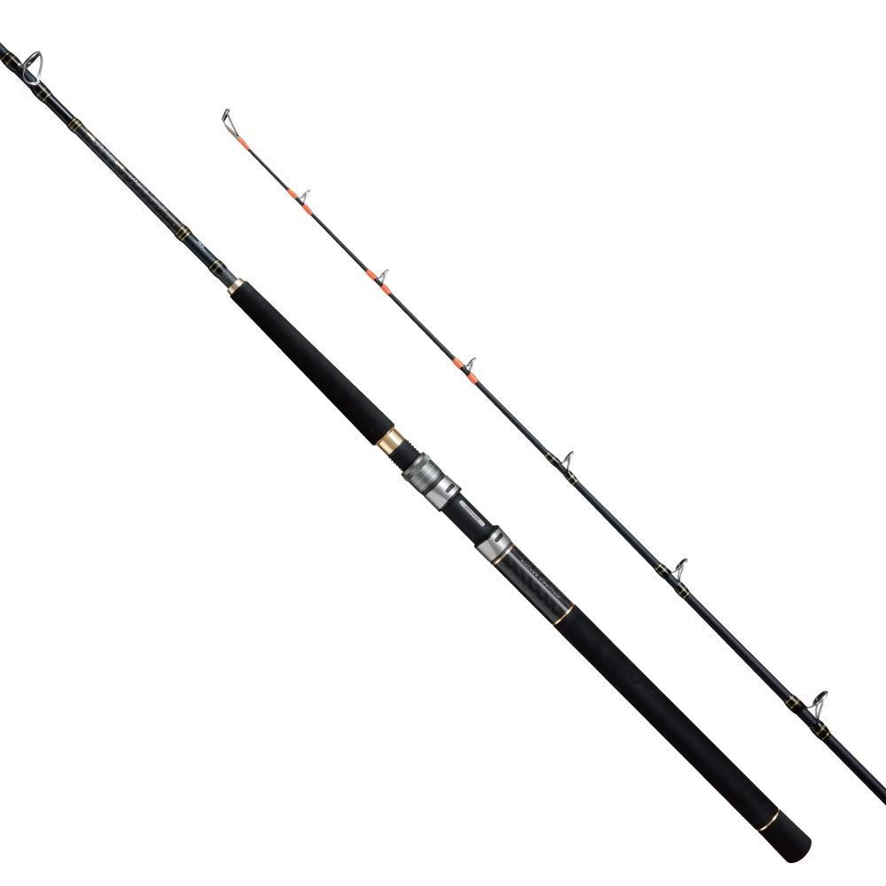 アルファタックルAlpha Tackle ロッド 船竿 カンエイ AR ソリッド 200-180