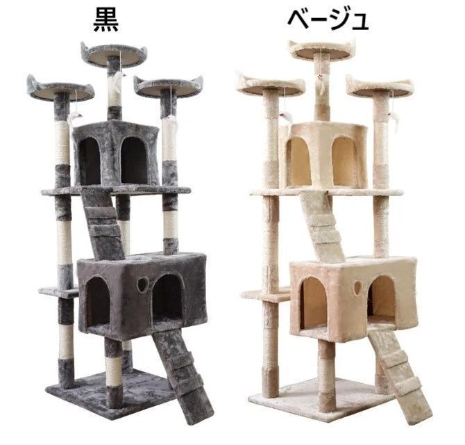 大型猫