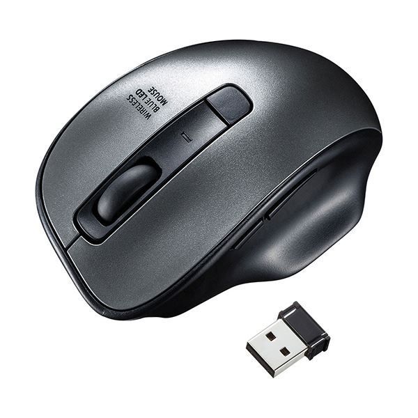 大大特価！ 鶴 絵画 古美術 アンティーク 骨董品 縁起物 割引 額入り