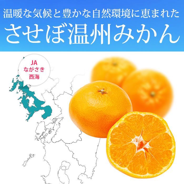 ◉最高級みかん◉🍊平均糖度14度以上「出島の華」ぜひ、商品説明 ◉最高級みかん◉🍊平均糖度14度以上「出島の華」ぜひ、商品説明