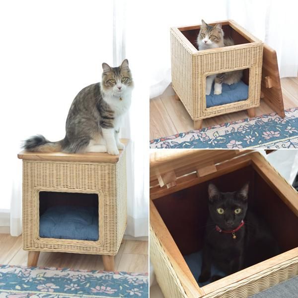 ペットハウス ネコ 猫 ねこ スツール 椅子 サイドテーブル 収納 脚付き インテリア カントリー デザイン ラタン素材 天然木製 遊び場 ペット クッション付き azm-pet-63