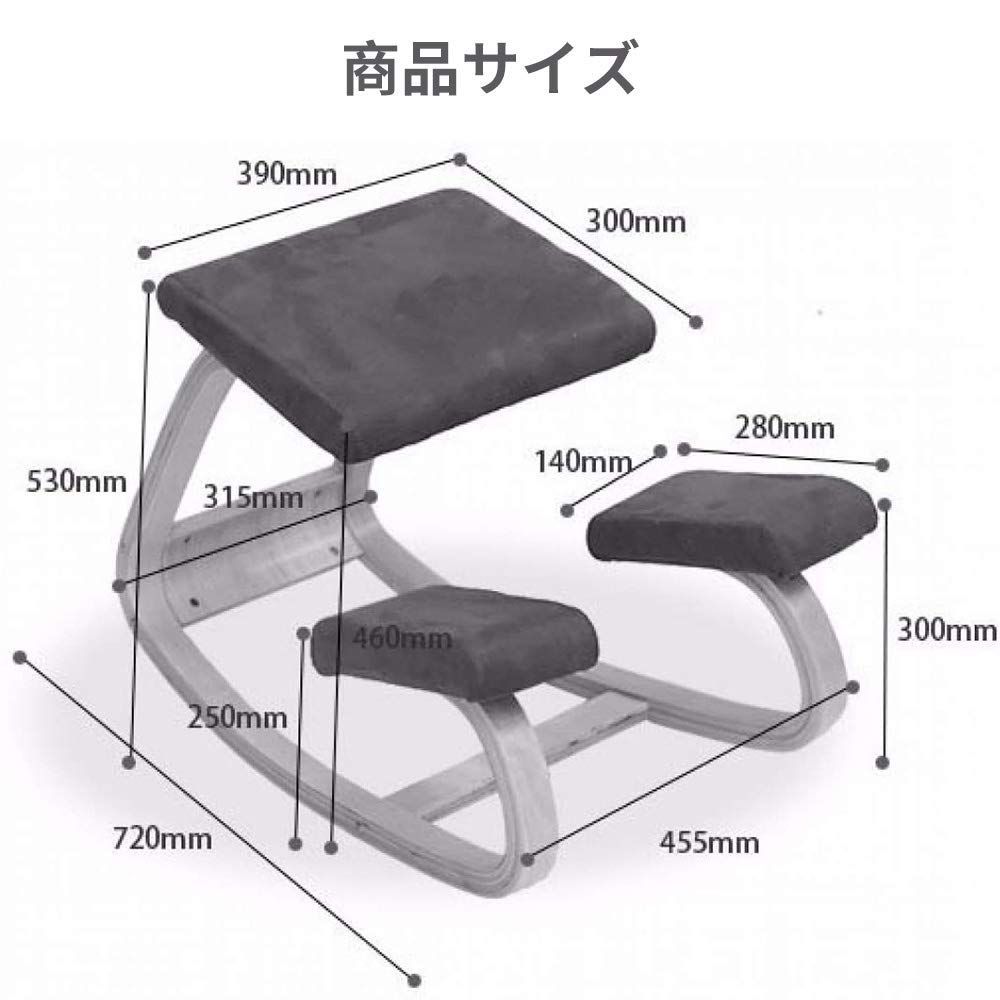 送込】バランスチェア 腰痛 猫背 姿勢 ゆらゆら姿勢矯正 - 椅子