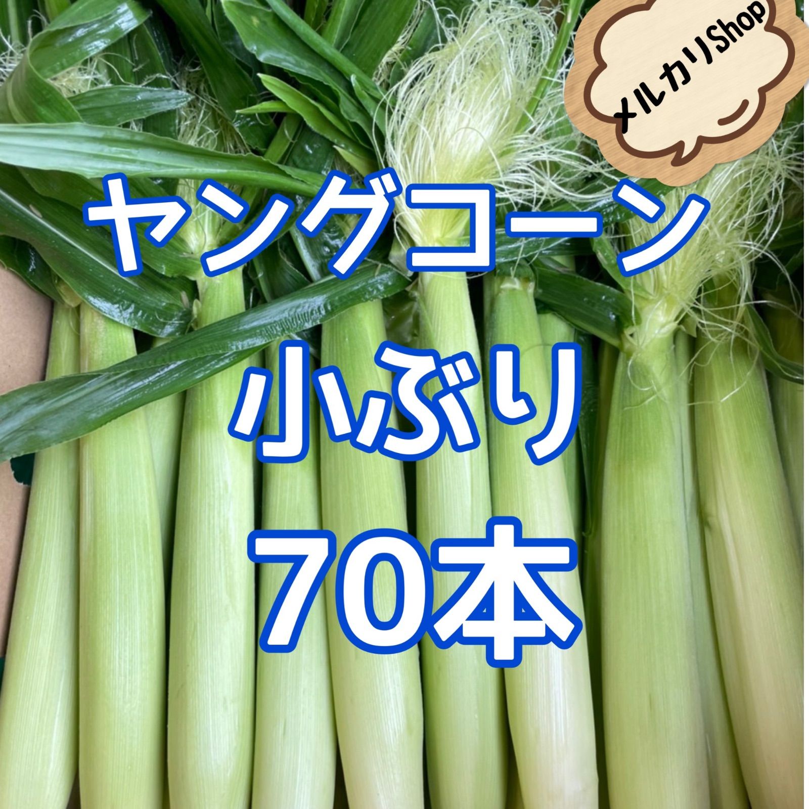 □鹿児島県産 新鮮！ヤングコーン 小ぶり70本□ - ひろっちゃんちの