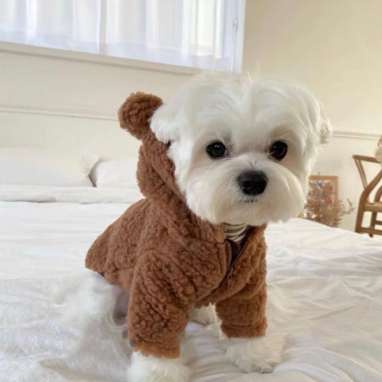 犬の服 犬服 ニットセーター ドッグウェア あたたかい 犬 服 秋 冬