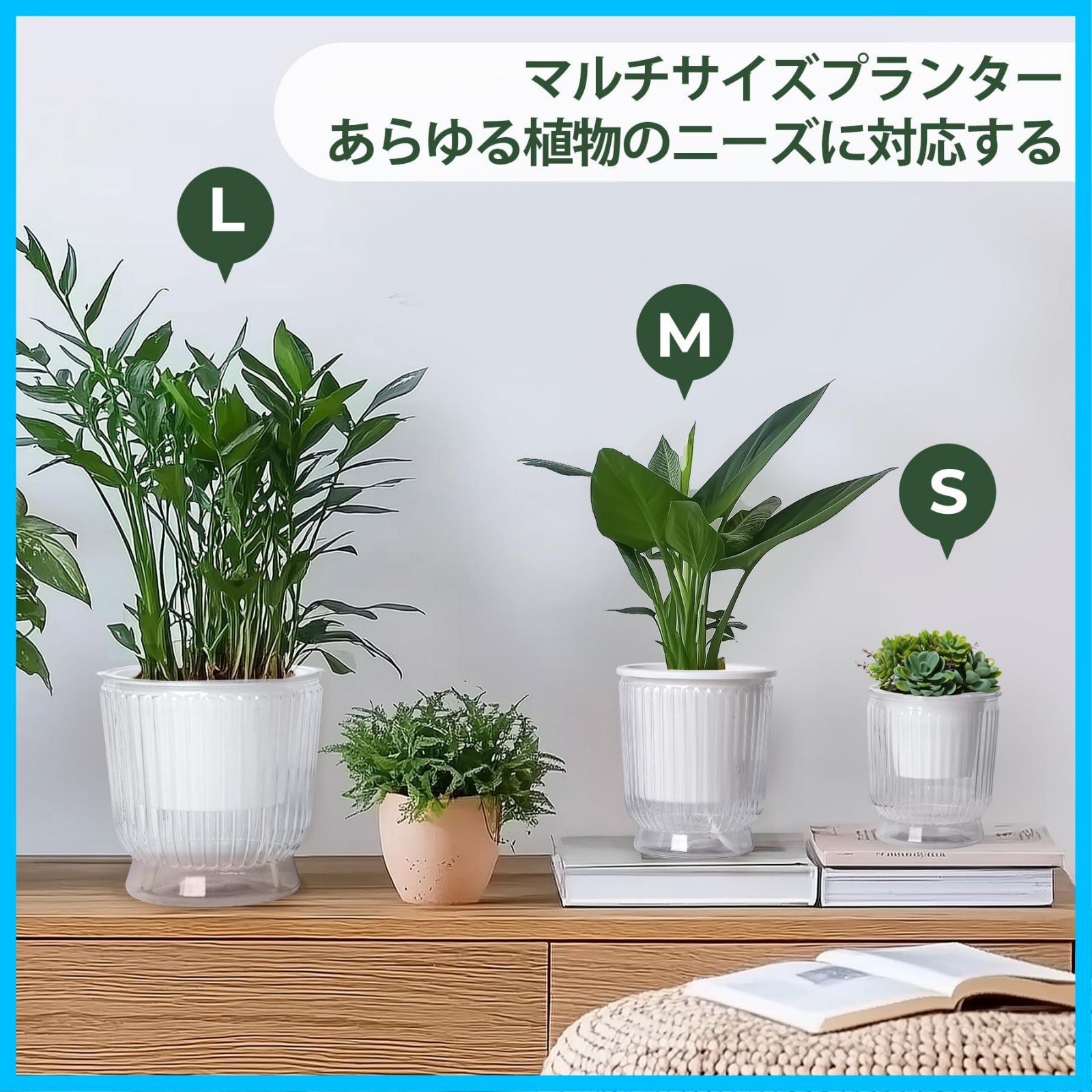底面給水鉢