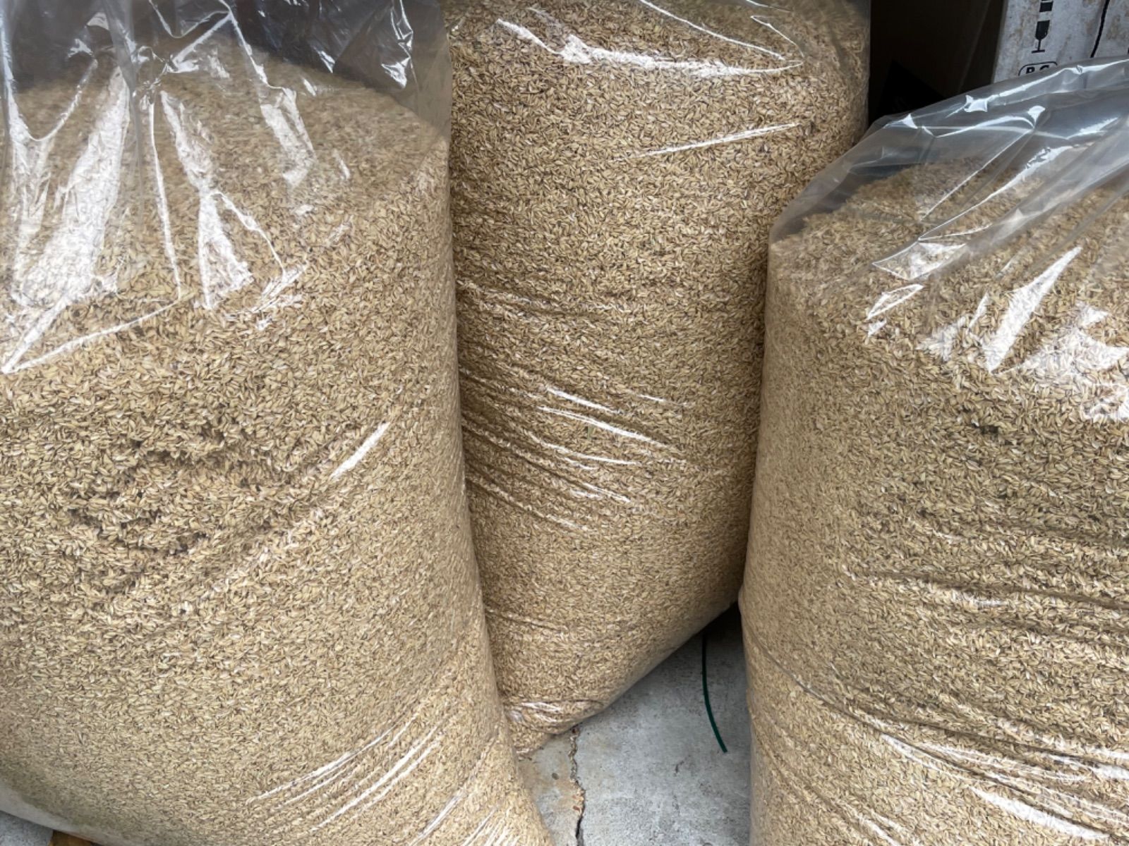 約10kg もみがら 籾殻 もみ殻 農薬不使用 天日干し 天然乾燥