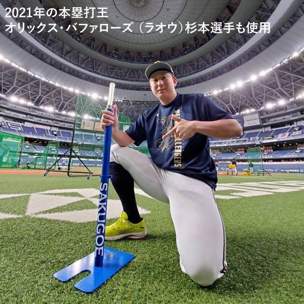 ver.12 トレーニング