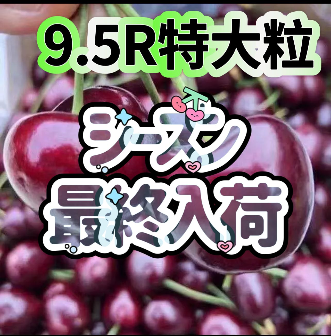 シーズンラスト入荷〜アメリカンチェリー さくらんぼ チェリー