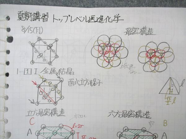河合塾 トップレベル医進化学 テキスト 2022 夏期/冬期講習 計2